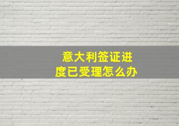 意大利签证进度已受理怎么办