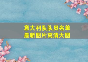 意大利队队员名单最新图片高清大图