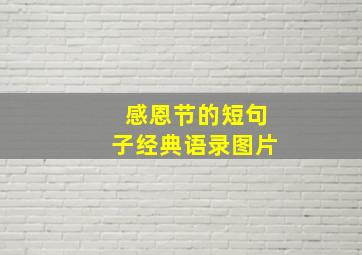 感恩节的短句子经典语录图片