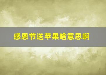 感恩节送苹果啥意思啊