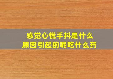 感觉心慌手抖是什么原因引起的呢吃什么药