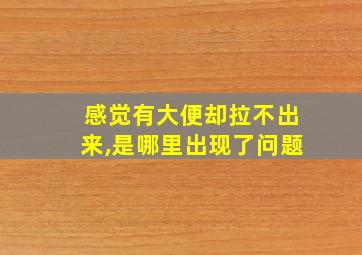 感觉有大便却拉不出来,是哪里出现了问题