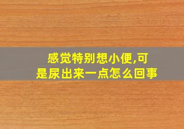 感觉特别想小便,可是尿出来一点怎么回事