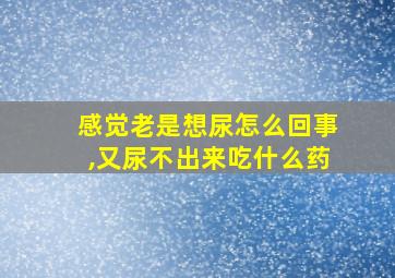 感觉老是想尿怎么回事,又尿不出来吃什么药