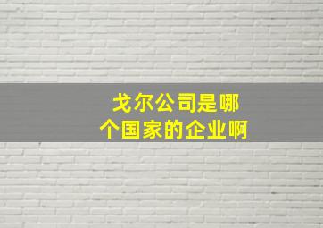 戈尔公司是哪个国家的企业啊