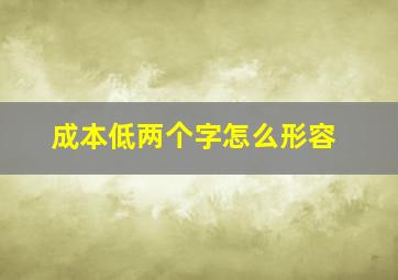 成本低两个字怎么形容