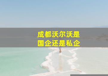 成都沃尔沃是国企还是私企