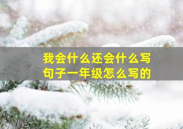 我会什么还会什么写句子一年级怎么写的