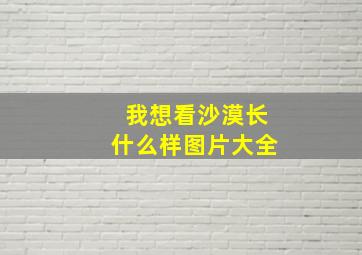 我想看沙漠长什么样图片大全