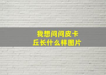 我想问问皮卡丘长什么样图片