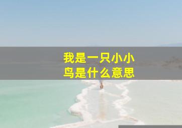 我是一只小小鸟是什么意思