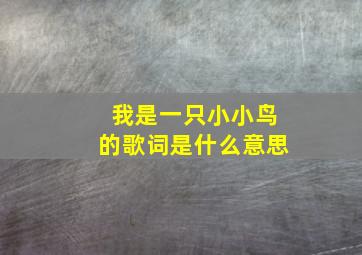 我是一只小小鸟的歌词是什么意思