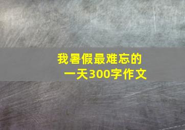 我暑假最难忘的一天300字作文