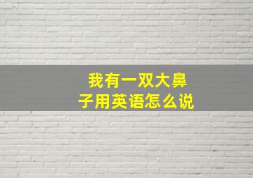 我有一双大鼻子用英语怎么说