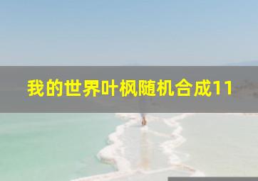 我的世界叶枫随机合成11