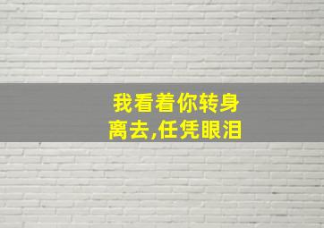 我看着你转身离去,任凭眼泪