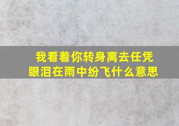 我看着你转身离去任凭眼泪在雨中纷飞什么意思