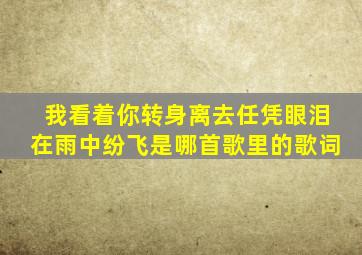 我看着你转身离去任凭眼泪在雨中纷飞是哪首歌里的歌词