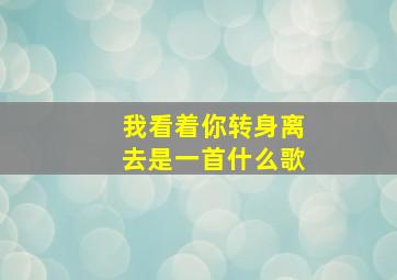 我看着你转身离去是一首什么歌