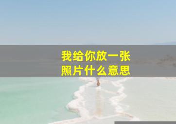 我给你放一张照片什么意思