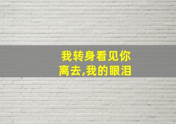 我转身看见你离去,我的眼泪