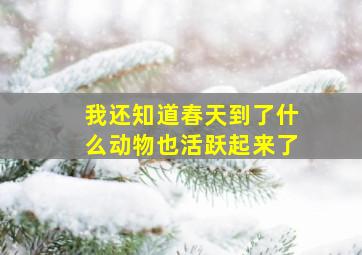 我还知道春天到了什么动物也活跃起来了