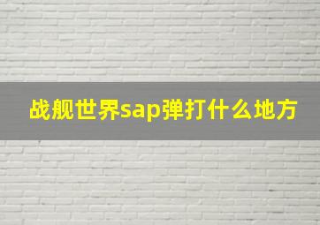 战舰世界sap弹打什么地方