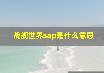 战舰世界sap是什么意思