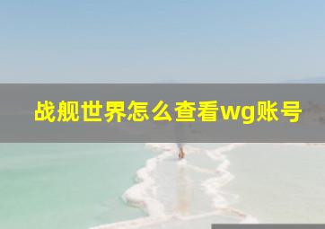 战舰世界怎么查看wg账号