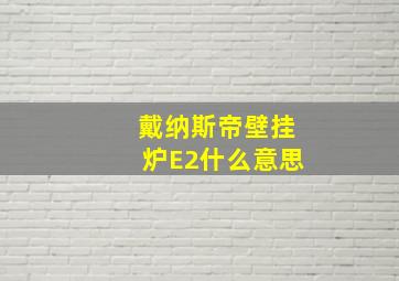 戴纳斯帝壁挂炉E2什么意思