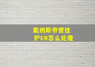 戴纳斯帝壁挂炉ER怎么处理