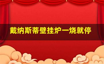 戴纳斯蒂壁挂炉一烧就停