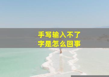 手写输入不了字是怎么回事