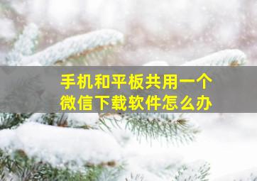 手机和平板共用一个微信下载软件怎么办