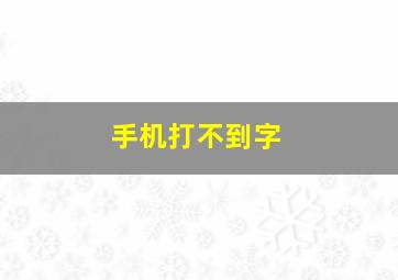 手机打不到字