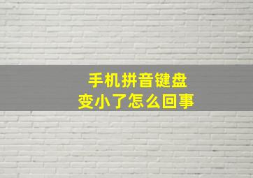 手机拼音键盘变小了怎么回事