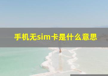 手机无sim卡是什么意思