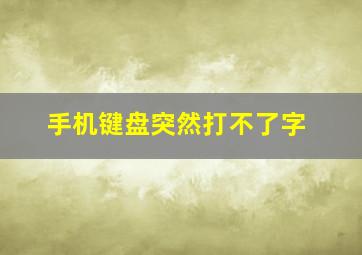 手机键盘突然打不了字