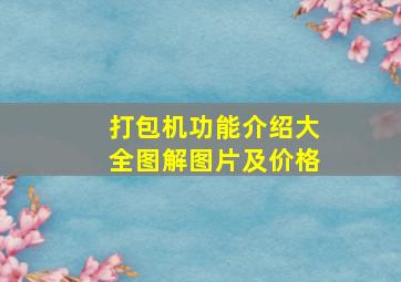 打包机功能介绍大全图解图片及价格