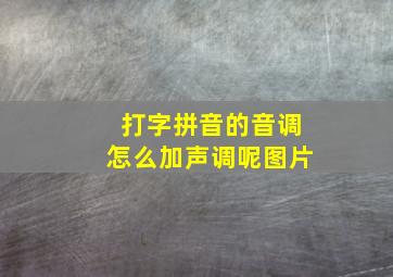 打字拼音的音调怎么加声调呢图片