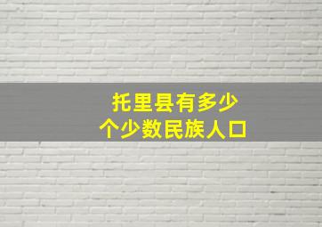 托里县有多少个少数民族人口