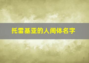 托雷基亚的人间体名字