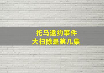 托马邀约事件大扫除是第几集