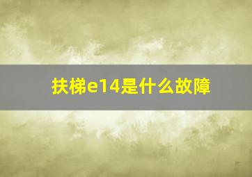 扶梯e14是什么故障