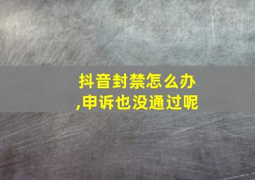 抖音封禁怎么办,申诉也没通过呢