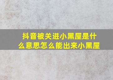 抖音被关进小黑屋是什么意思怎么能出来小黑屋