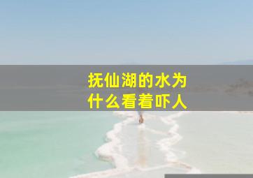 抚仙湖的水为什么看着吓人