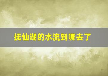 抚仙湖的水流到哪去了