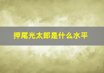 押尾光太郎是什么水平