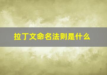 拉丁文命名法则是什么